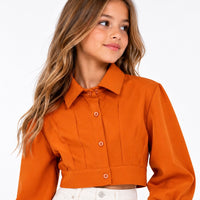 Camisa básica con pinzas