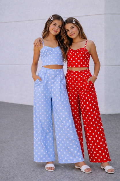 Conjunto topos