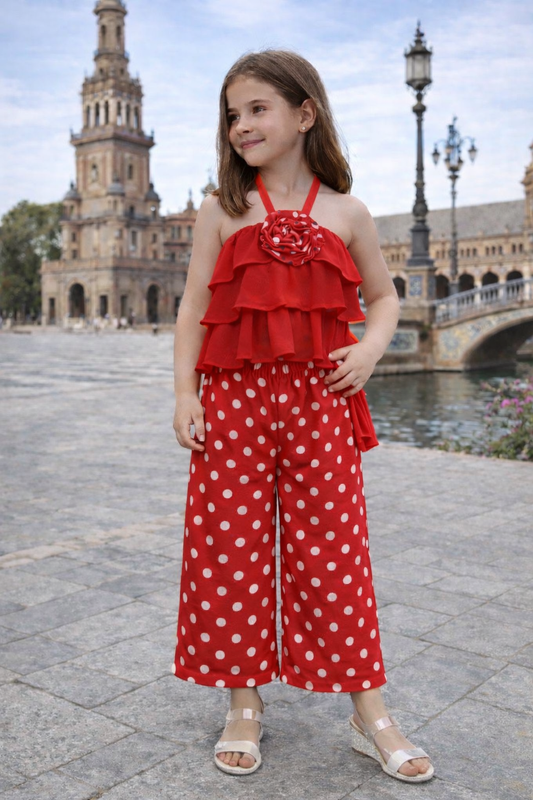 Conjunto volante topos